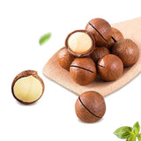 Wholesale Best Price Health Snack Nutritional Nuts Dried Roasted Macadamia Nuts