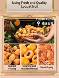 Top Grade Daily Snacks Sweet Sour Dried Fruits Preserved Dried Loquat