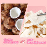 High Quality FD Coconut Dehydrated Dried Fruit Premium Snack Crispy Freeze Dried Coconut Slices