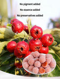 Natural Raw Sweet Sour Taste Small Ball Shape Snack Food Hawthorn Snacks