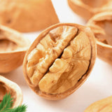 Nutrition Dry Walnuts Wholesale Price Thin Skinned Chinese Xinjiang Walnut