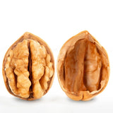 Nutrition Dry Walnuts Wholesale Price Thin Skinned Chinese Xinjiang Walnut